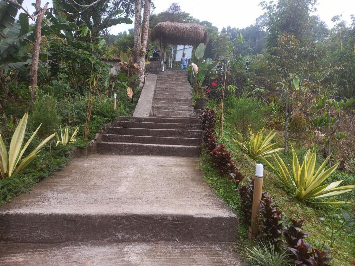 Munduk Tutub Waterfall View Exterior foto