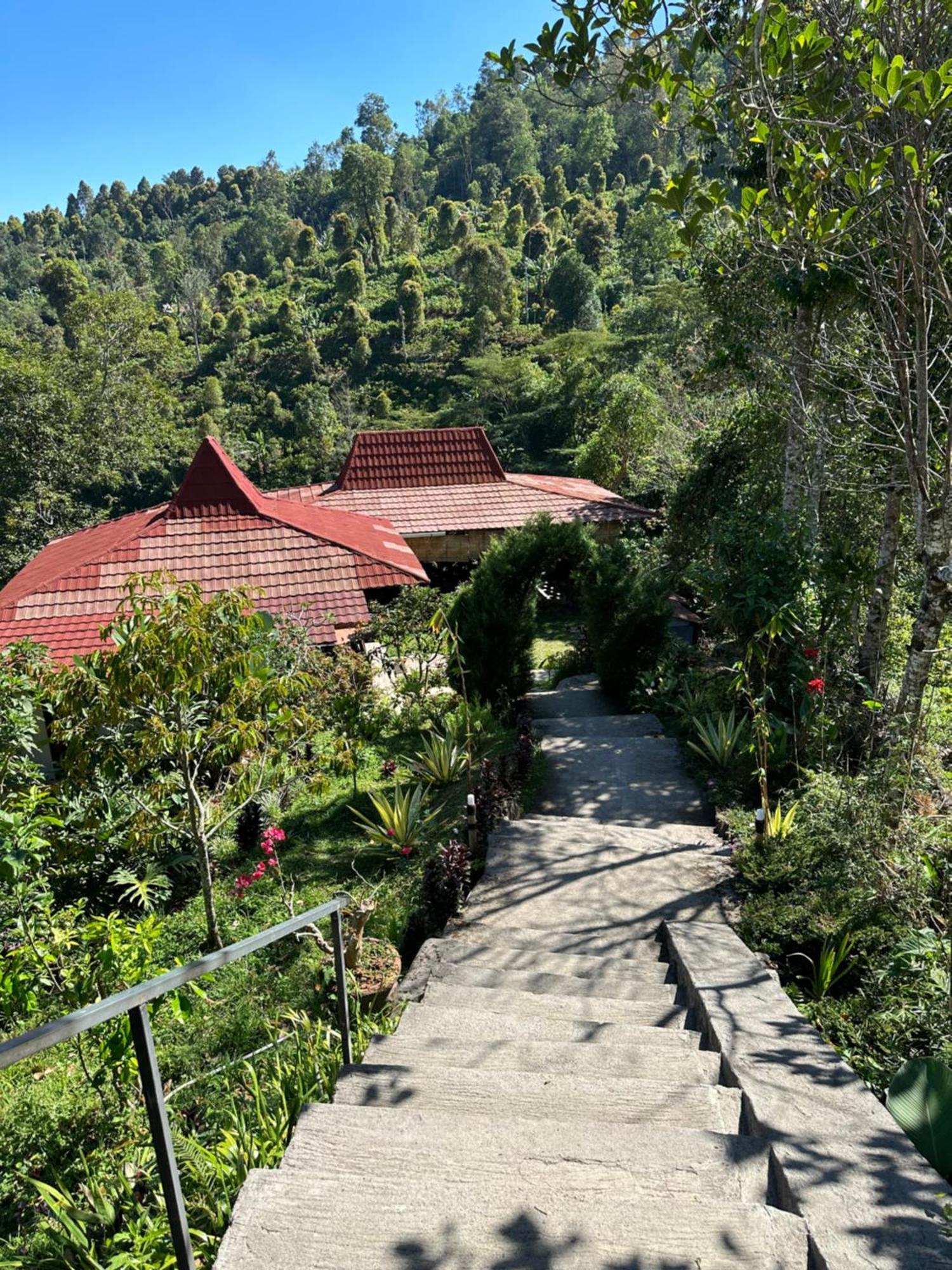 Munduk Tutub Waterfall View Exterior foto